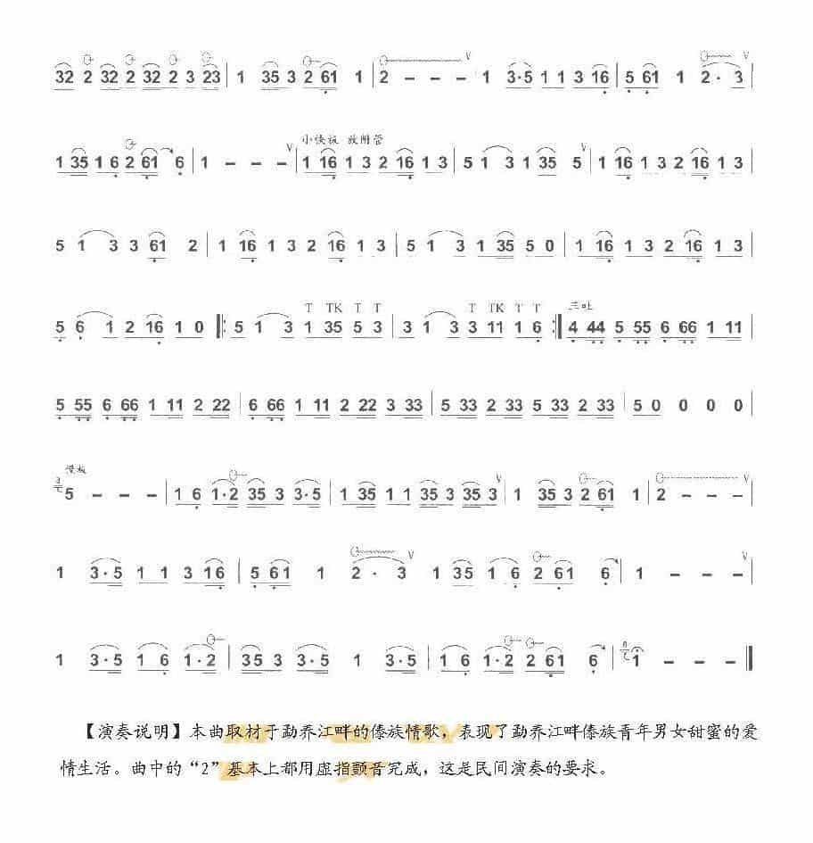 巴乌中高级乐曲《勐养江畔》哏德全曲_第2张