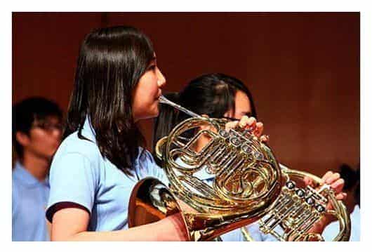 快乐学习乐器圆号的理念_第1张