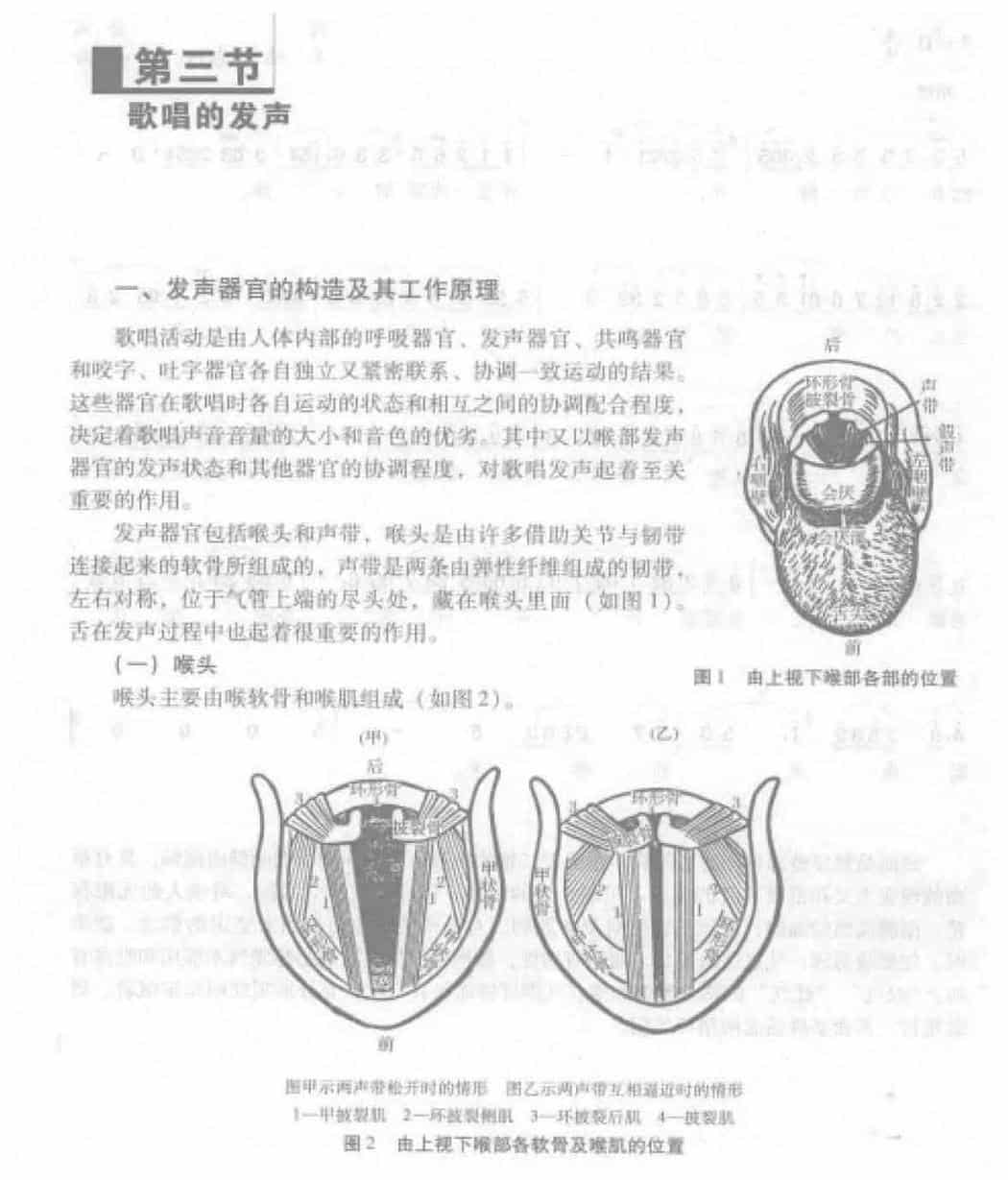 歌唱的发声《发声器官的构造及其工作原理》_第1张