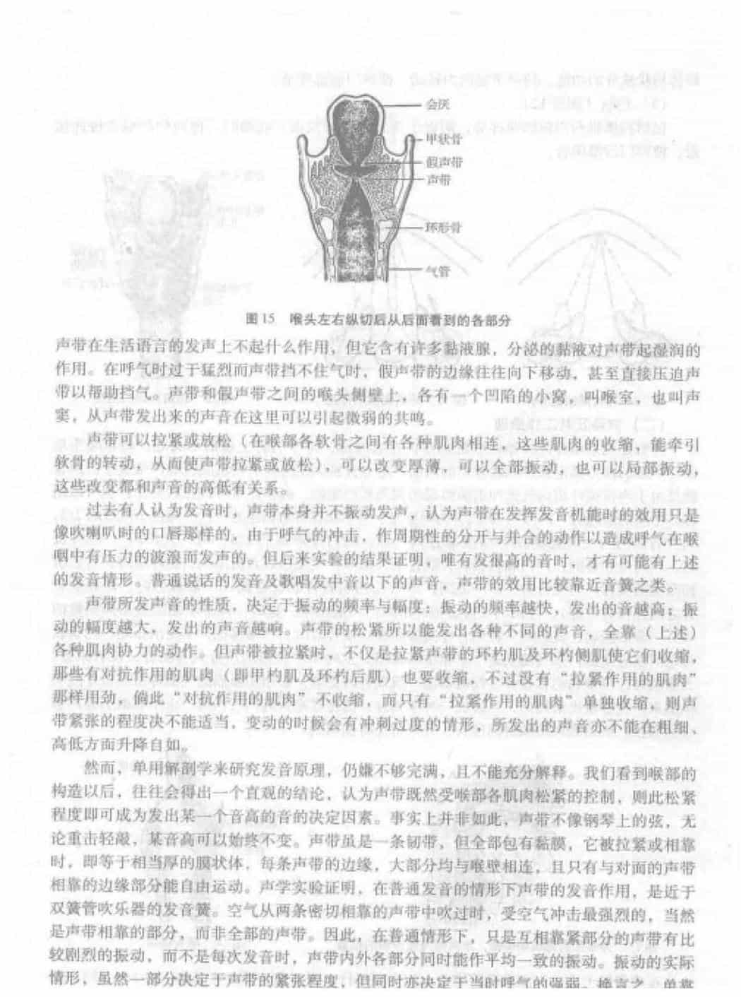 歌唱的发声《发声器官的构造及其工作原理》_第5张