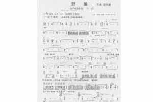 埙歌谱：野狼