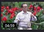 板胡名家张耀辉《碗碗腔 三月桃花》低音板胡演奏