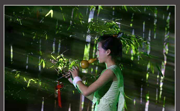 葫芦丝月光下的凤尾竹介绍_第1张
