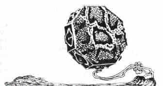 八角鼓_第1张