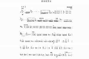 扬琴曲谱：欢乐的节日
