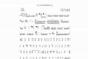 扬琴曲谱：帕米尔的春天