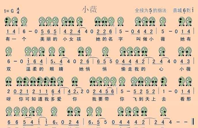 六孔陶笛曲谱 小薇_第1张