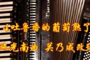 手风琴《吐鲁番葡萄熟了》独奏艺术视频