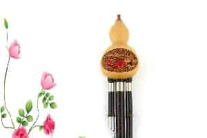 葫芦丝乐器介绍