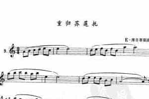 单管簧谱之外国乐曲：重最苏莲托