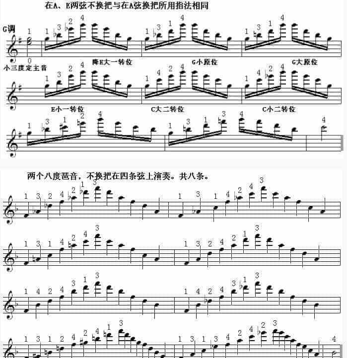 邓文汉小提琴《半音模进式》琶音练习(十)介绍F调_第2张