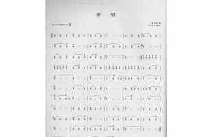 笛子演奏通俗歌曲谱之：希望