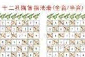 12孔陶笛指法表含所有指法的半音