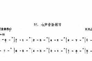 埙的演奏技巧与练习：七声音阶练习 - 张凤山