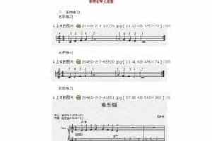 初学电子琴练习曲：欢乐颂