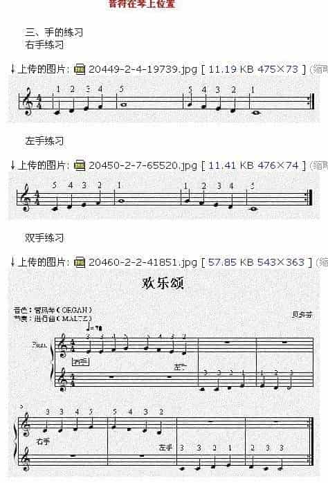 初学电子琴练习曲：欢乐颂_第1张