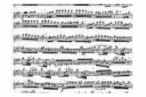 柯勒长笛浪漫练习曲作品66号：昆虫群舞 insects dance