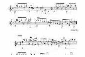 Luto & Baroque Guitar:（Anonim）Trio