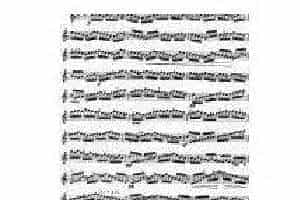 克莱斯勒-帕格尼尼-无穷动 作品11 Perpetual Motion (Moto perpetuo)Op.11