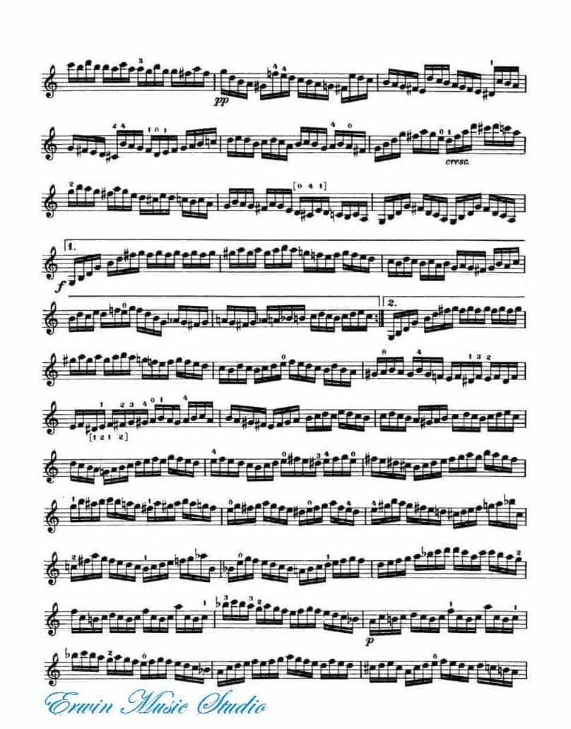 克莱斯勒-帕格尼尼-无穷动 作品11 Perpetual Motion (Moto perpetuo)Op.11_第2张