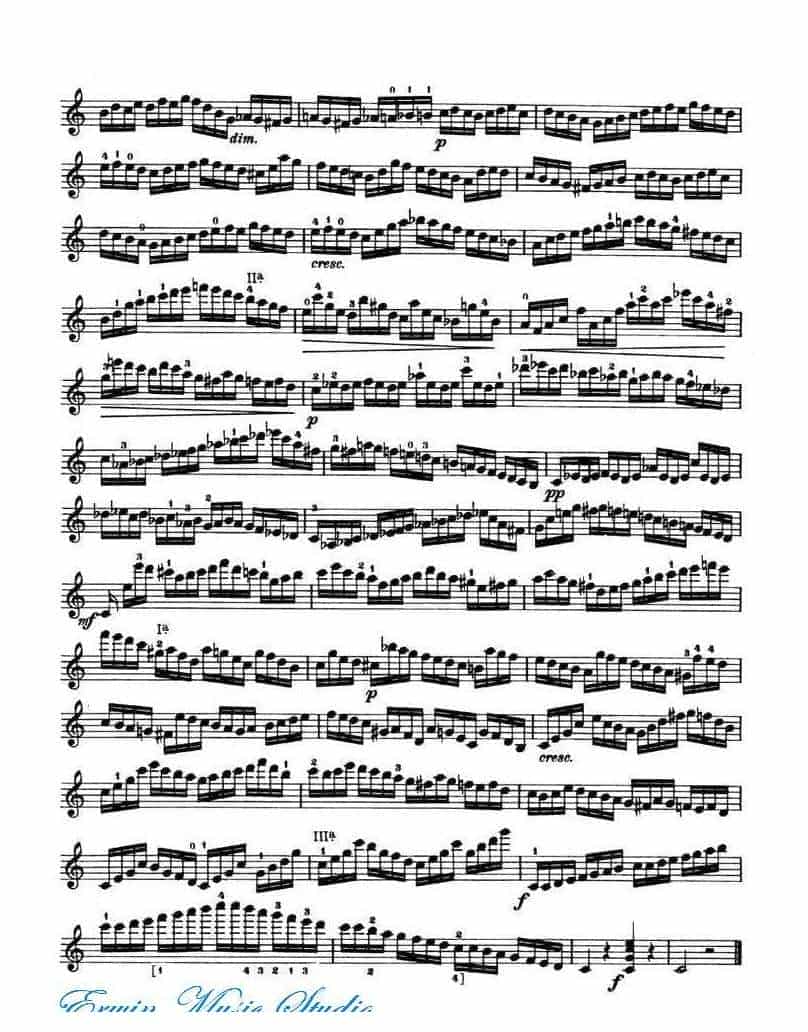 克莱斯勒-帕格尼尼-无穷动 作品11 Perpetual Motion (Moto perpetuo)Op.11_第4张