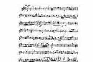 克萊斯勒-小步舞曲 (步里亚尼风格)Violin Fritz Kreisle, Tempo di Minuetto In the style of Pugnani