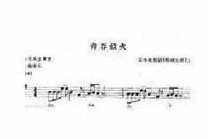 日本电视剧《排球女将》主题歌 青春似火