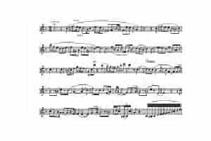 威尼斯狂欢节变奏曲 Carnival of Venice