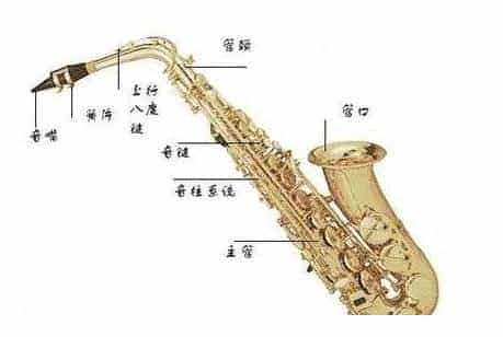 萨克斯有哪些部件构成?解读构造与音域_第2张