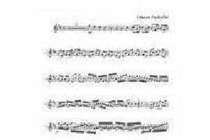 約翰·帕赫贝尔-卡农 弦乐三重奏分谱Violin Johann Pachelbel, Canon