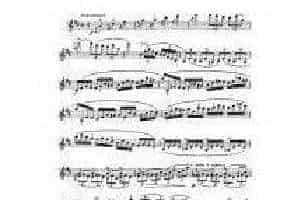 克莱斯勒-贝多芬-小提琴D大 调协奏曲华彩Violin Kreisler Cadenzas