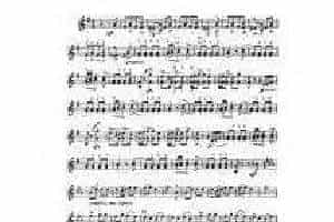 克莱斯勒-柴可夫斯基-诙谐曲 作品10 第2号Violin Humoresque