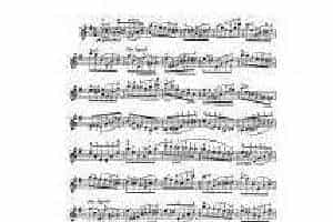 克莱斯勒-戈多夫斯基-无穷动 第6号 Fritz Kreisle, Leopold Godowsky, Perpetuum Mobile