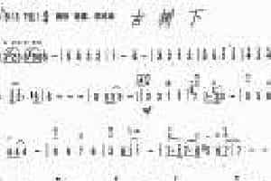二胡谱【古树下】