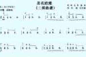 二胡谱【卖花姑娘】