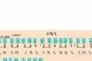 埙谱【小鸟飞】
