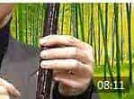 张维良箫教学视频 第6讲《持箫方法》洞箫基础教程