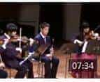 单簧管演奏《莫扎特单簧管五重奏 085》视频欣赏