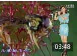 双管巴乌演奏《姑娘生来爱唱歌》视频欣赏
