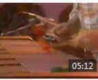 Cal Tjader - Guachi Guara，爵士.颤音琴