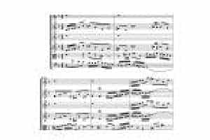 Concerto in D minor for two violins and string(Score)