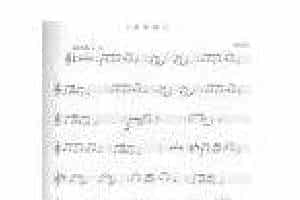 全国小号演奏考级作品集《康城赛马》第二级乐曲