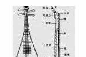 琵琶的构造介绍
