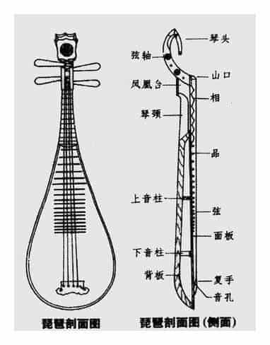 琵琶的构造介绍_第1张