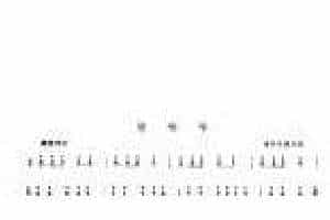 简单的箫曲《娃哈哈》适合初学者