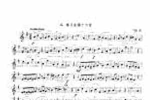 单簧管综合性练习及中外名曲与练习曲《练习曲第十六首》