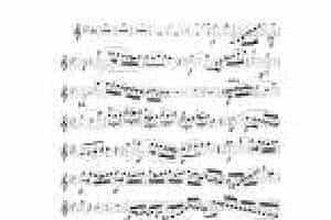 单簧管中外独奏曲《第五协奏曲》