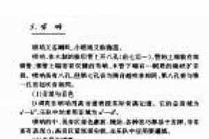 中国民族吹管乐器《唢呐》简介