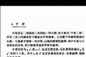 中国民族拉弦乐器《中胡》简介