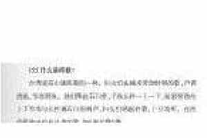 声乐基础知识《什么是杵歌？》